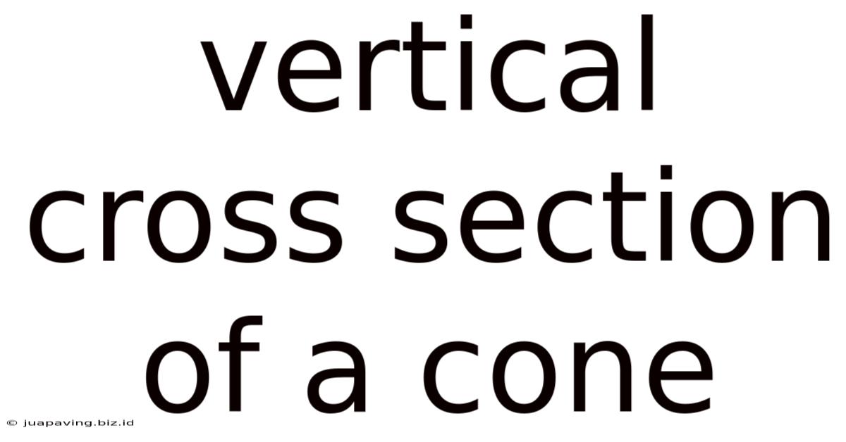 Vertical Cross Section Of A Cone