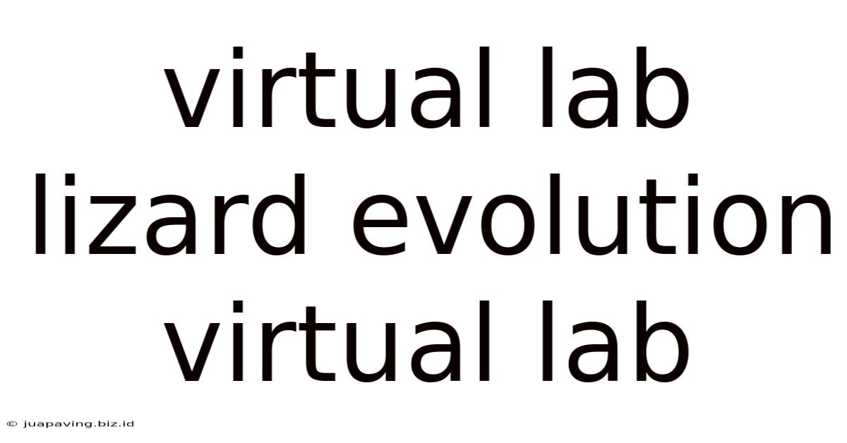 Virtual Lab Lizard Evolution Virtual Lab