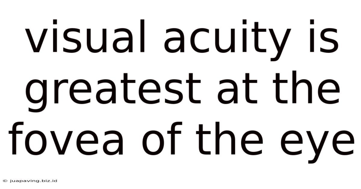 Visual Acuity Is Greatest At The Fovea Of The Eye