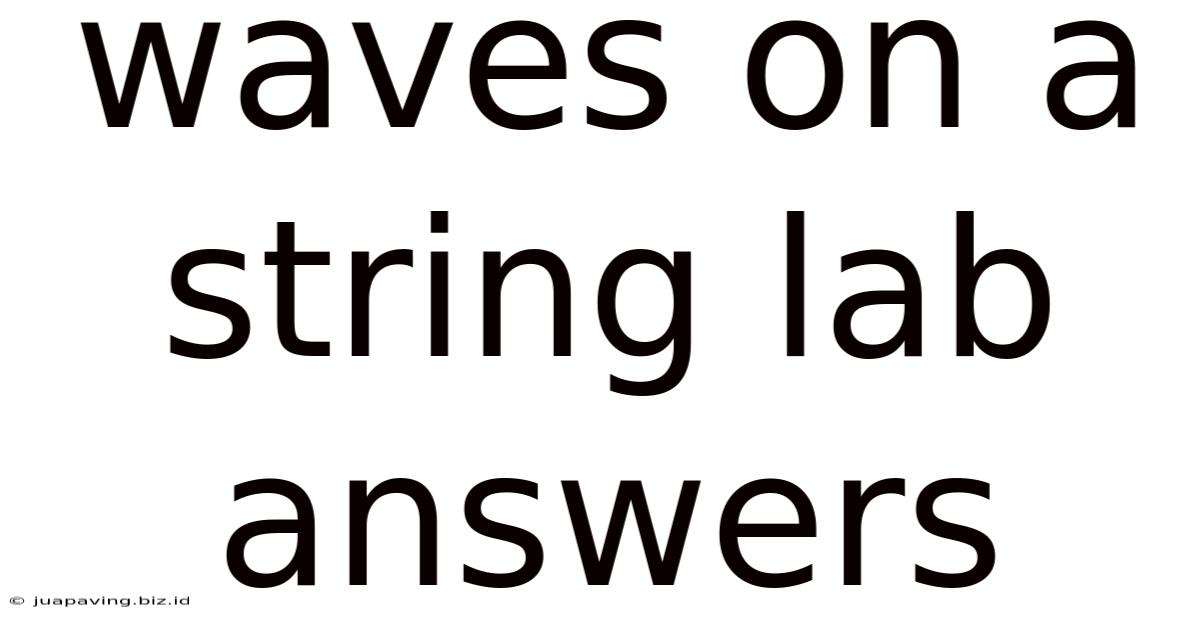 Waves On A String Lab Answers