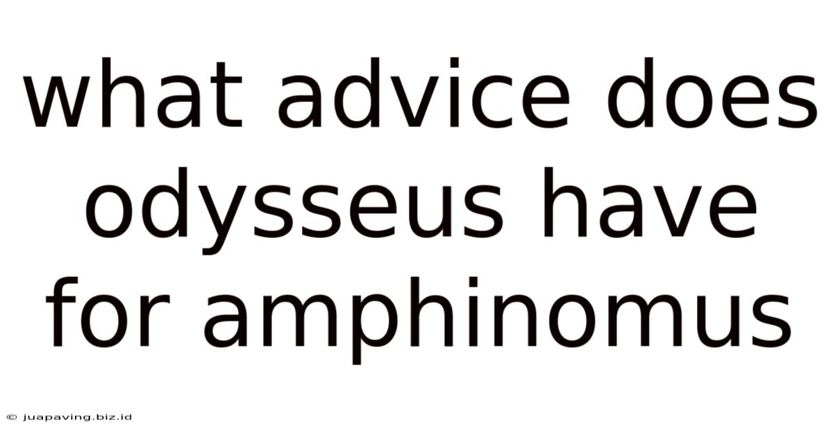 What Advice Does Odysseus Have For Amphinomus