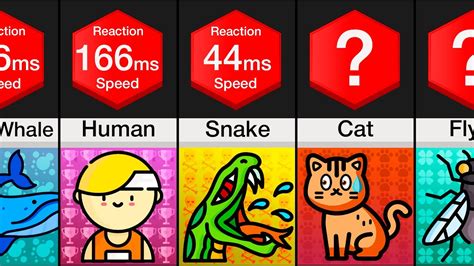 What Animal Has Fastest Reaction Time