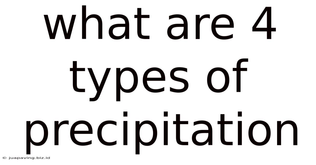What Are 4 Types Of Precipitation