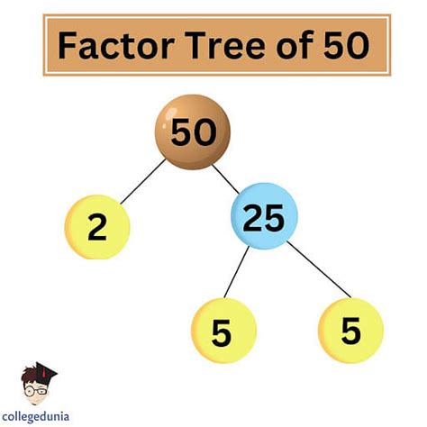 What Are All Of The Factors Of 50