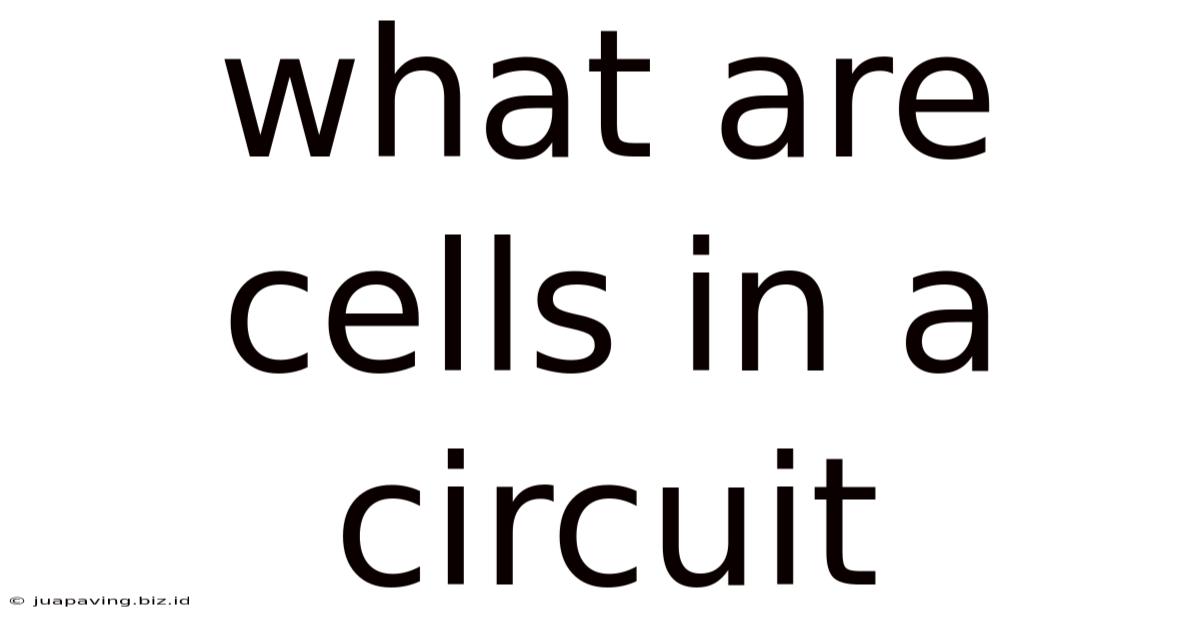 What Are Cells In A Circuit