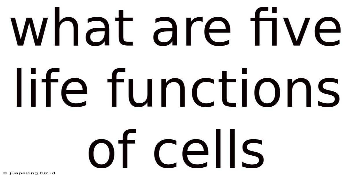 What Are Five Life Functions Of Cells