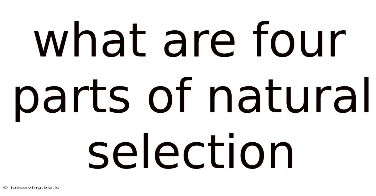 What Are Four Parts Of Natural Selection