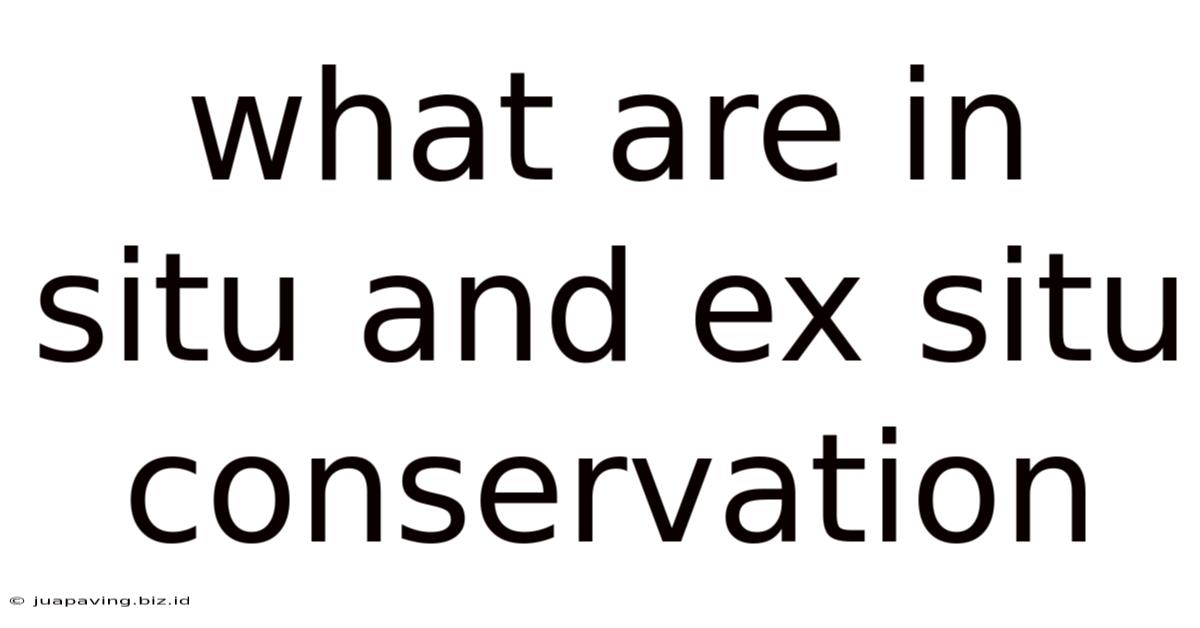 What Are In Situ And Ex Situ Conservation