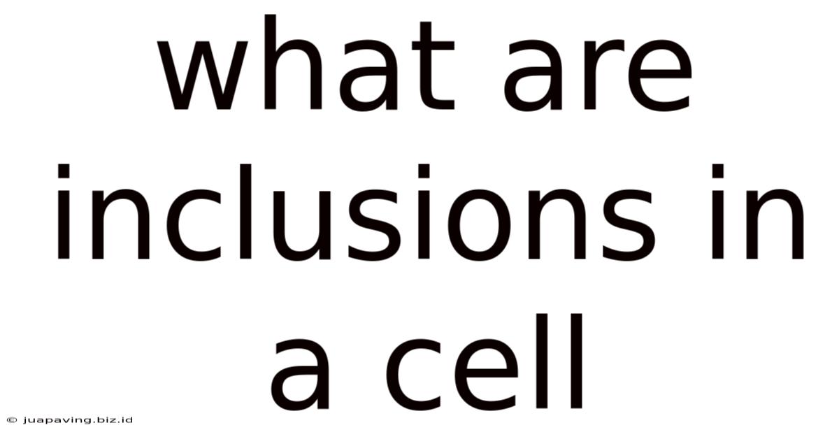 What Are Inclusions In A Cell