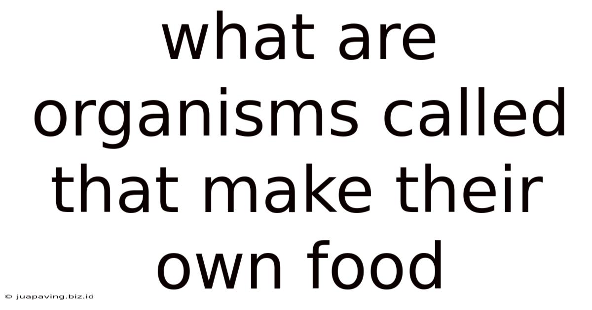 What Are Organisms Called That Make Their Own Food