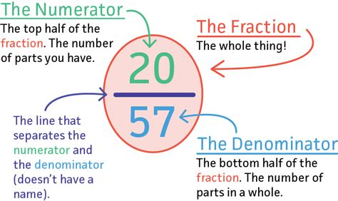 What Are Parts Of A Fraction