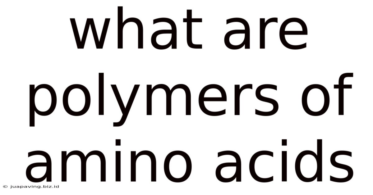 What Are Polymers Of Amino Acids