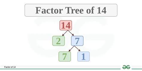 What Are Prime Factors Of 14