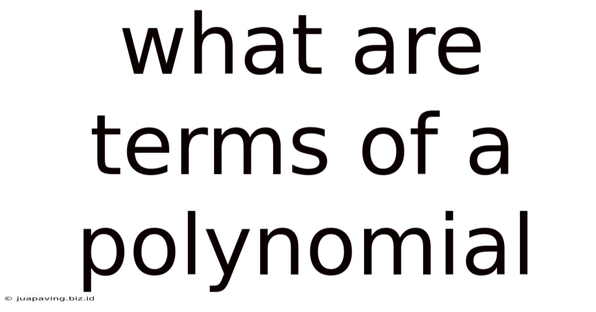 What Are Terms Of A Polynomial