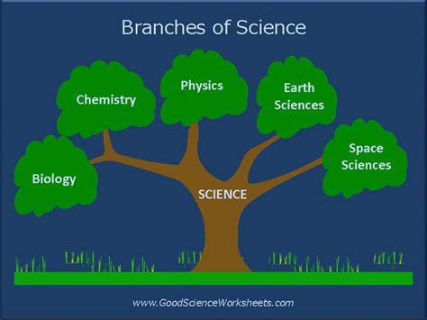 What Are The 15 Branches Of Science