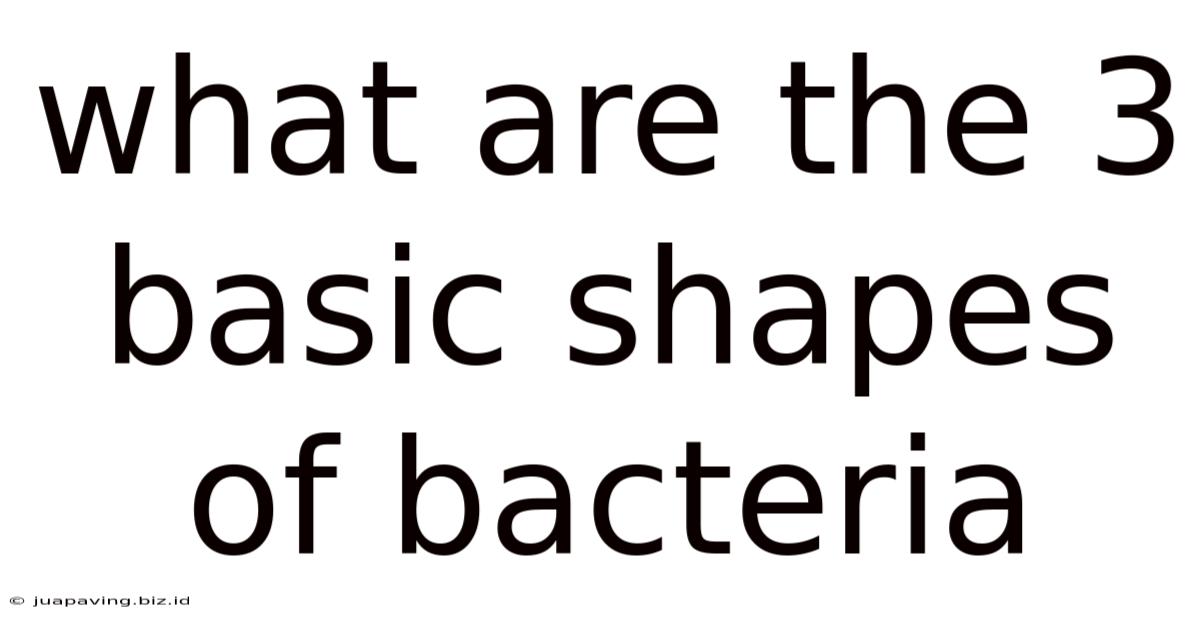 What Are The 3 Basic Shapes Of Bacteria