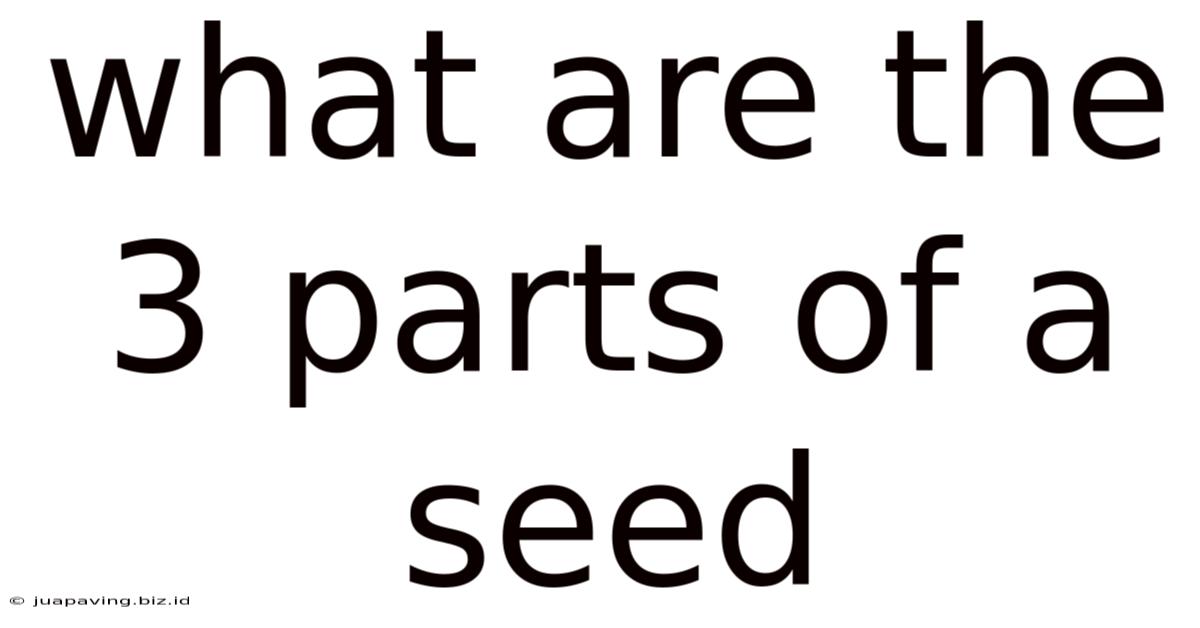 What Are The 3 Parts Of A Seed