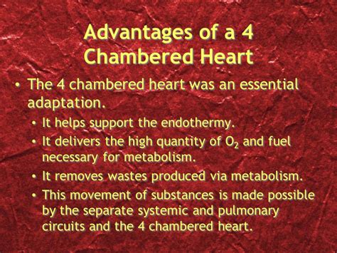 What Are The Advantages Of Having Four Chambered Heart