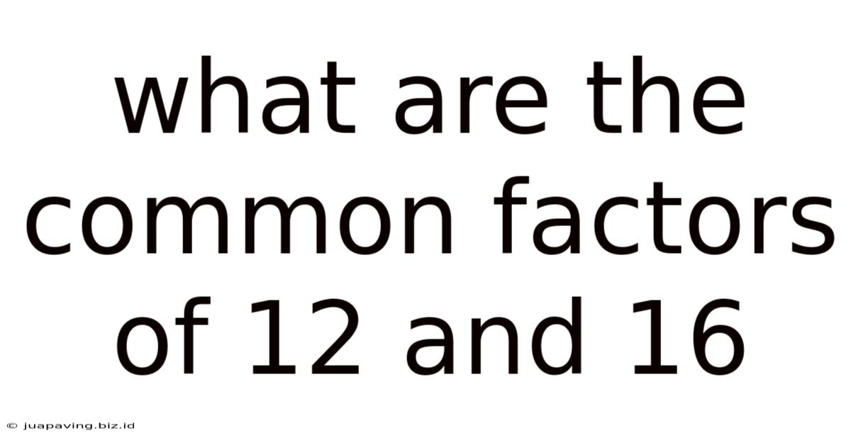 What Are The Common Factors Of 12 And 16