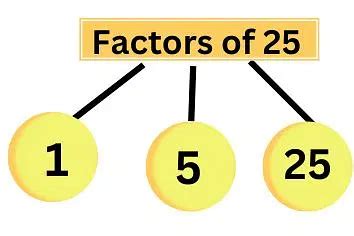 What Are The Common Factors Of 25