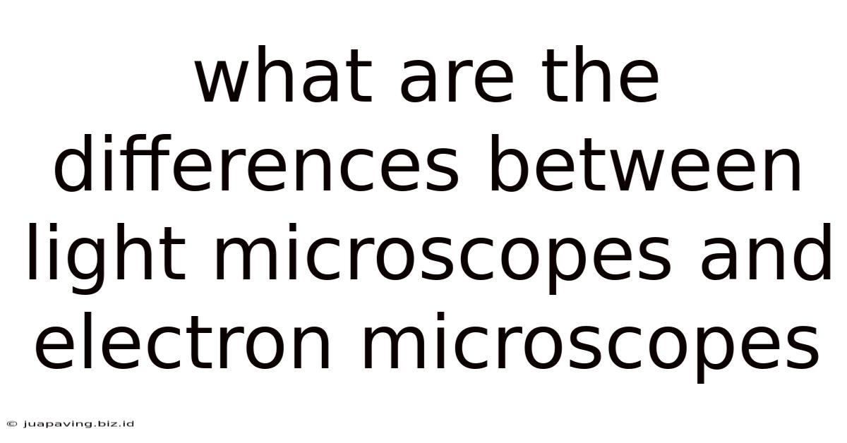 What Are The Differences Between Light Microscopes And Electron Microscopes