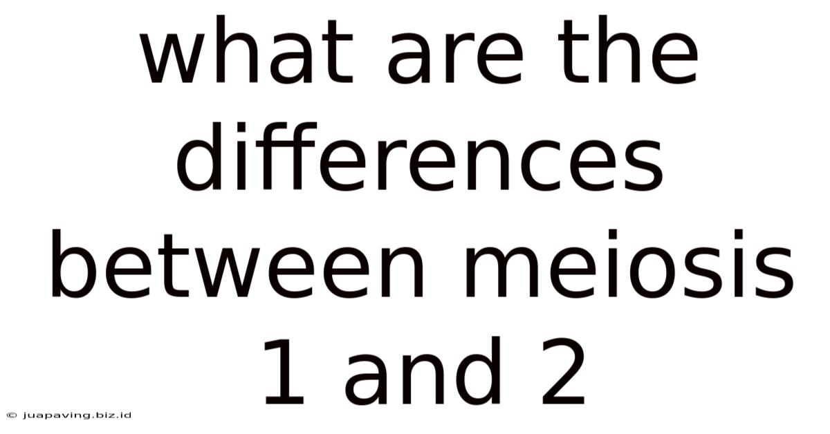 What Are The Differences Between Meiosis 1 And 2