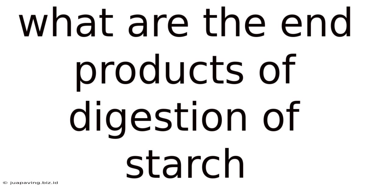 What Are The End Products Of Digestion Of Starch