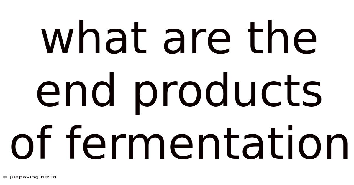 What Are The End Products Of Fermentation