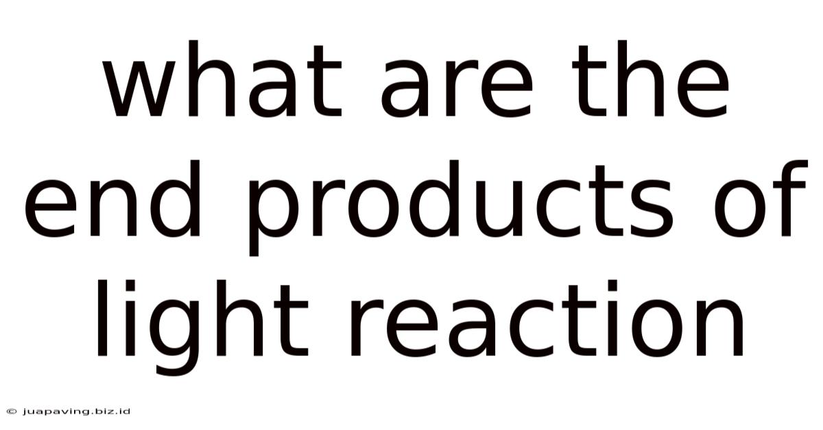 What Are The End Products Of Light Reaction