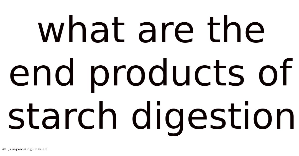 What Are The End Products Of Starch Digestion