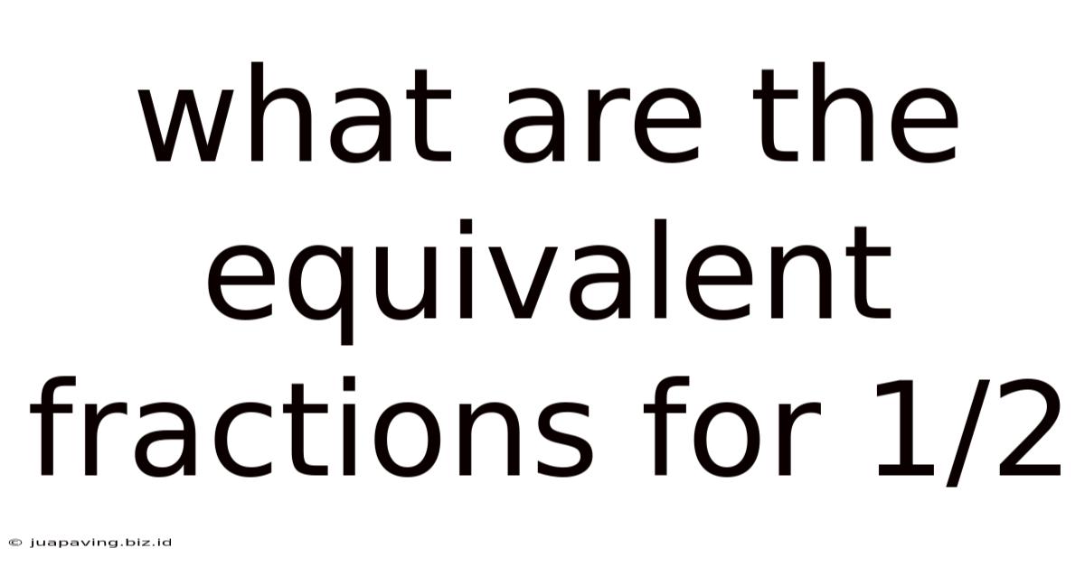 What Are The Equivalent Fractions For 1/2
