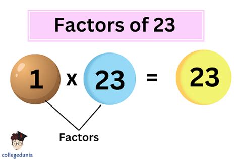 What Are The Factors For 23