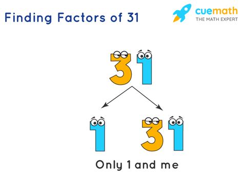 What Are The Factors For 31