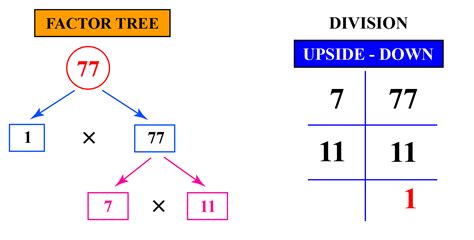 What Are The Factors For 77