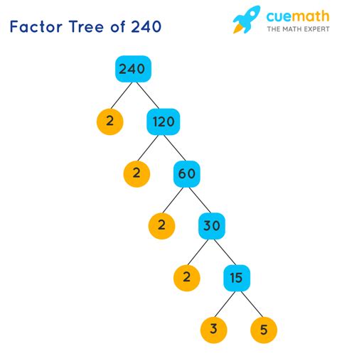 What Are The Factors Of 240