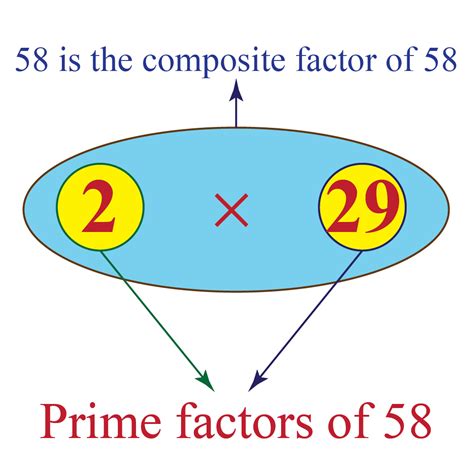 What Are The Factors Of 58