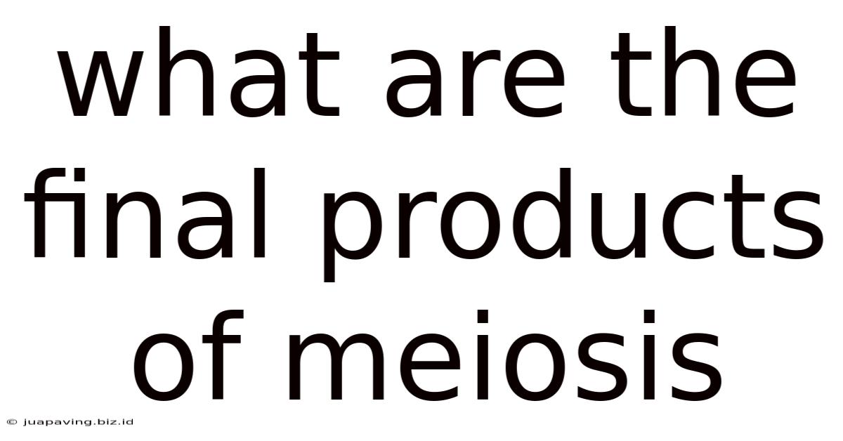 What Are The Final Products Of Meiosis