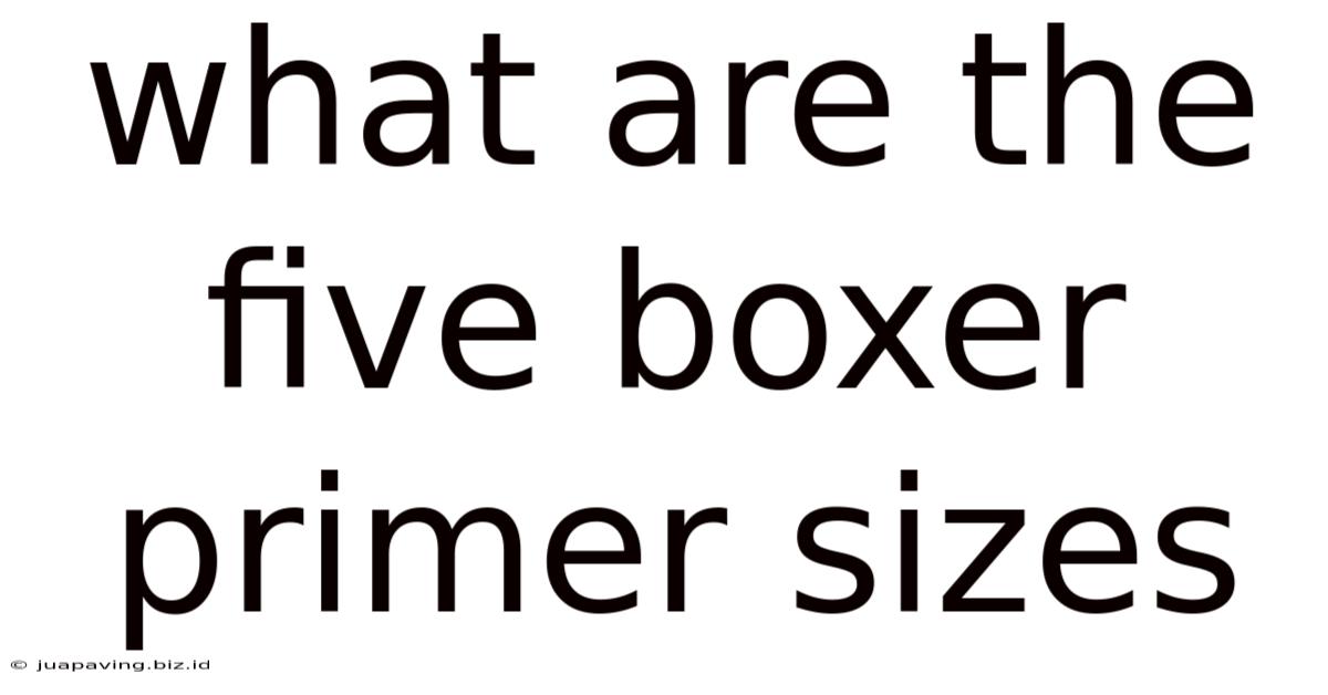 What Are The Five Boxer Primer Sizes