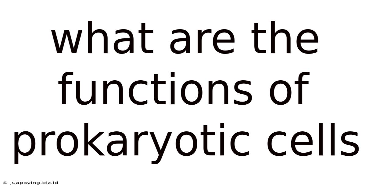 What Are The Functions Of Prokaryotic Cells