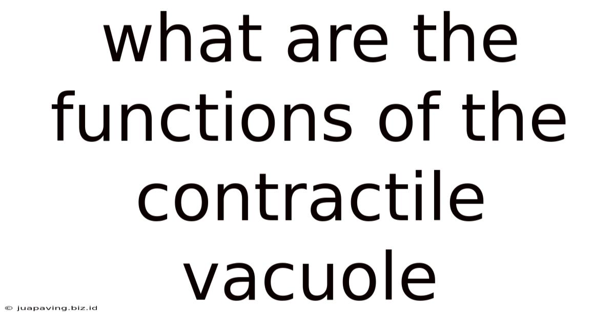 What Are The Functions Of The Contractile Vacuole