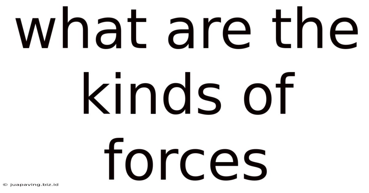 What Are The Kinds Of Forces