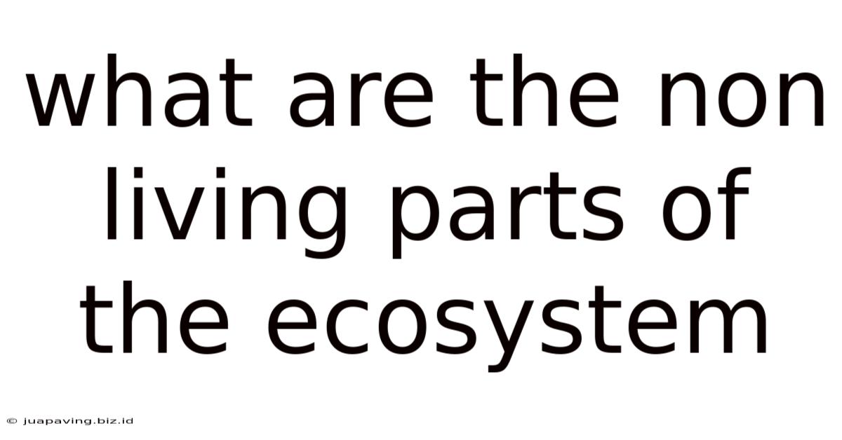 What Are The Non Living Parts Of The Ecosystem