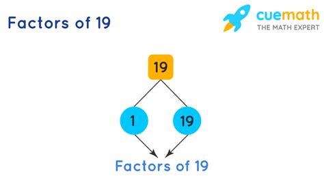 What Are The Prime Factors Of 19