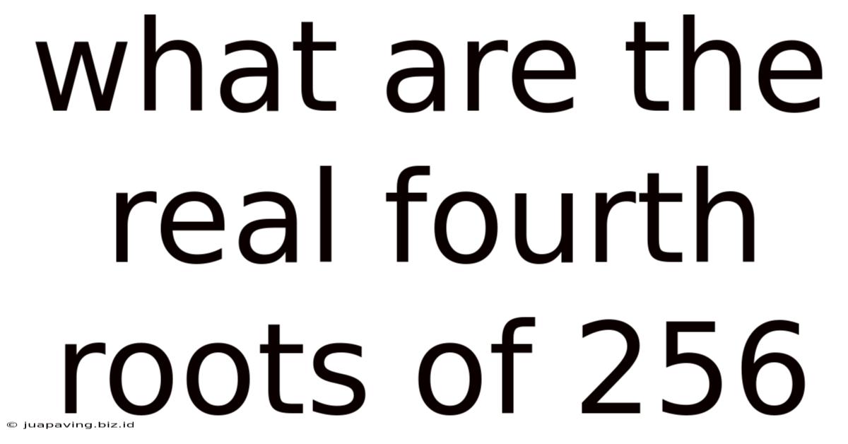 What Are The Real Fourth Roots Of 256
