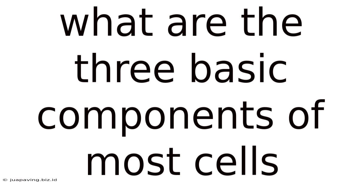 What Are The Three Basic Components Of Most Cells