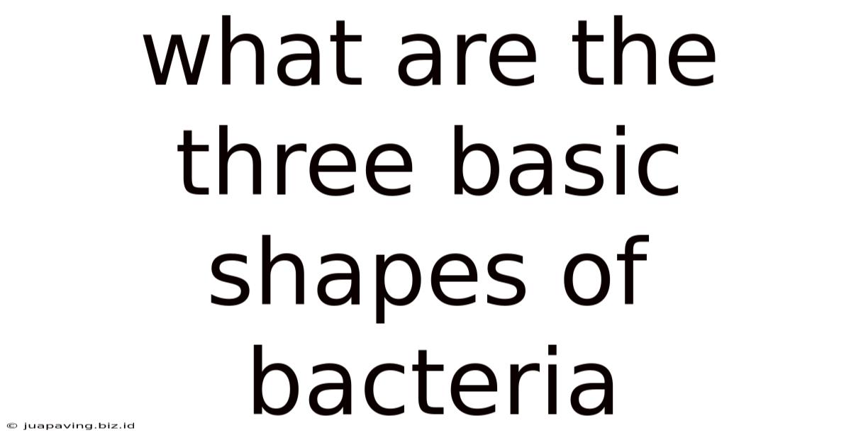 What Are The Three Basic Shapes Of Bacteria