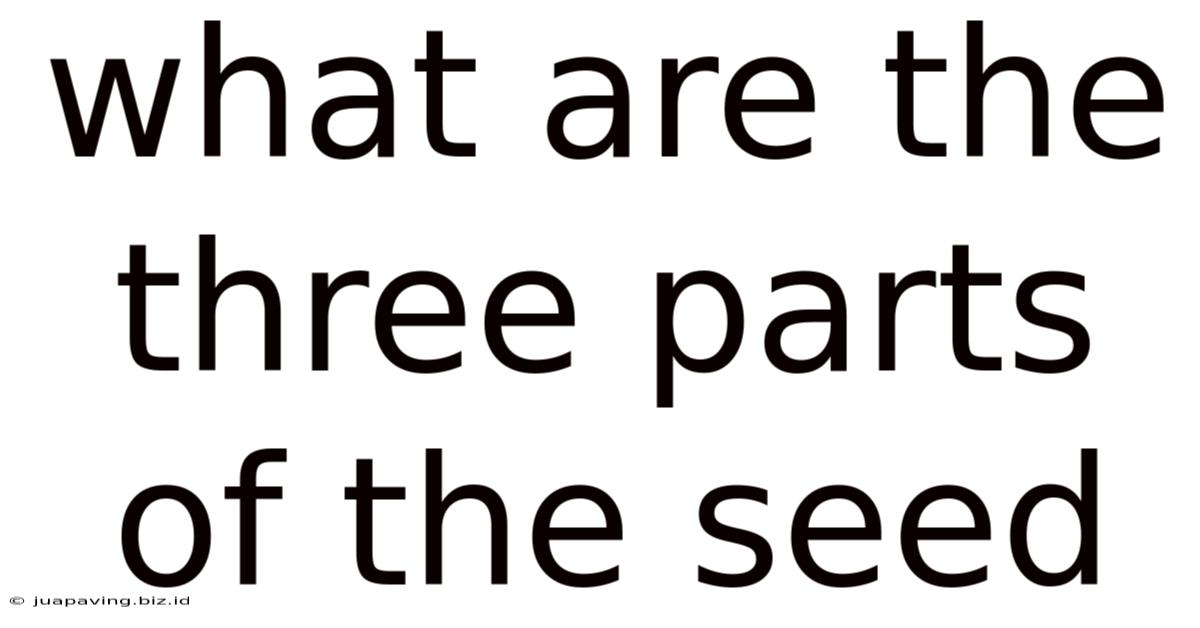 What Are The Three Parts Of The Seed
