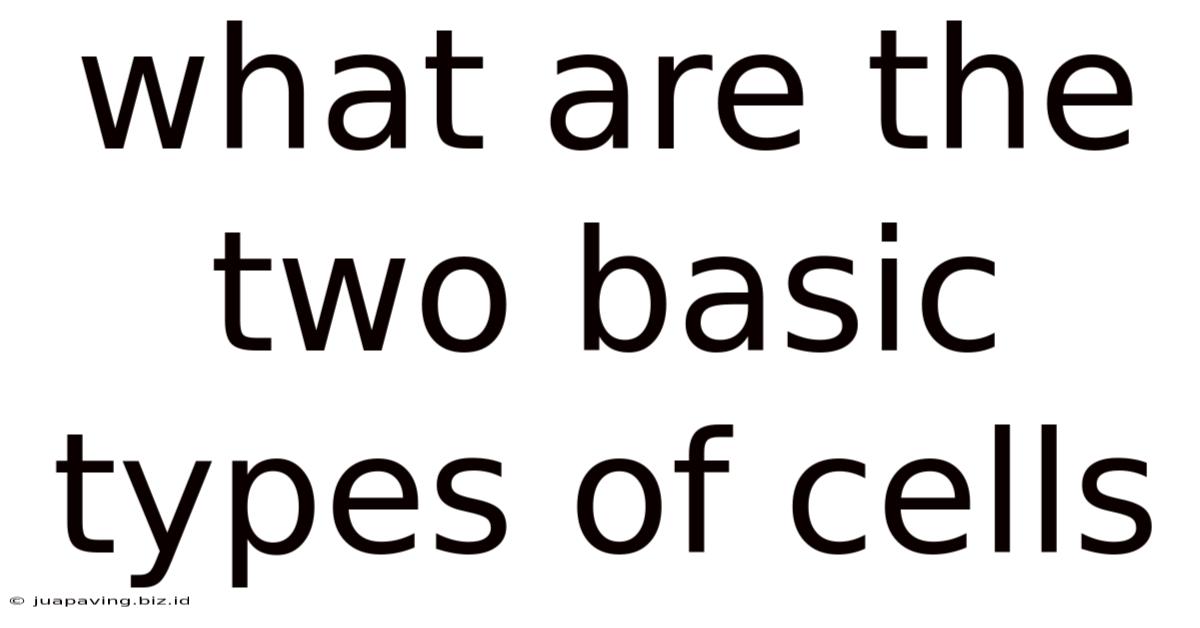 What Are The Two Basic Types Of Cells