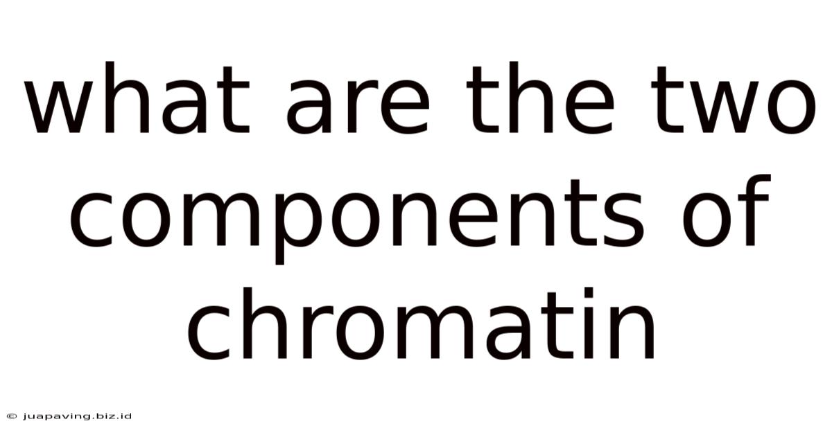 What Are The Two Components Of Chromatin