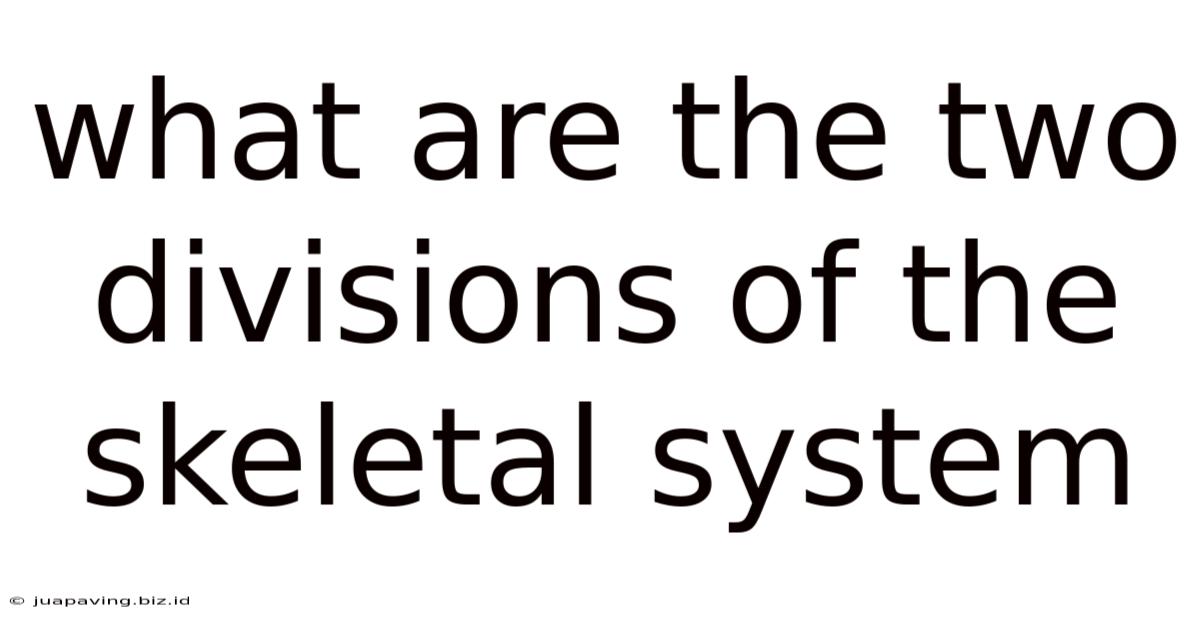 What Are The Two Divisions Of The Skeletal System